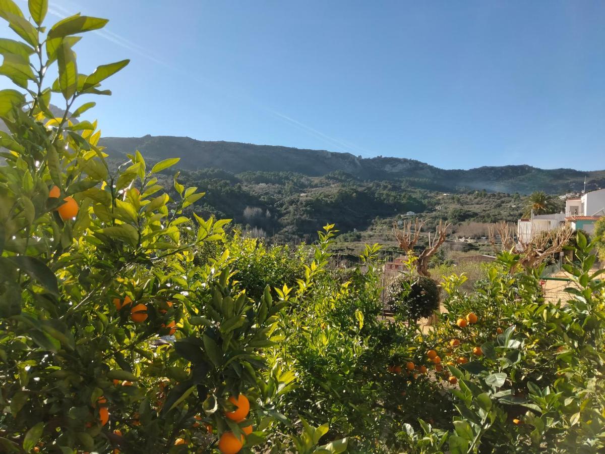 Les Penyetes Boutique Bed And Breakfast Campell Exterior photo